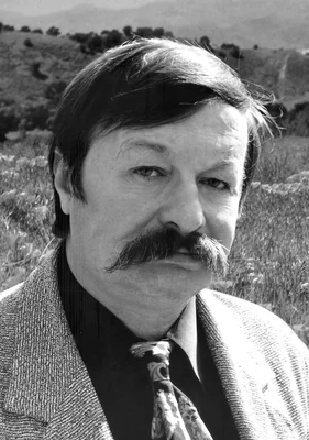 Д. Д. Кремінь