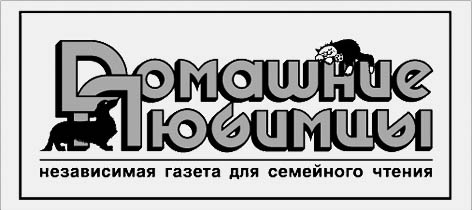 фото: Домашние любимцы