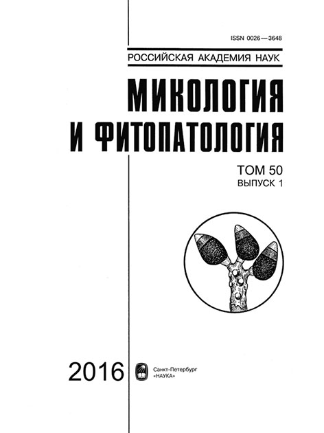 фото: Микология и фитопатология
