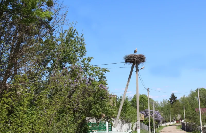 Одна з вулиць