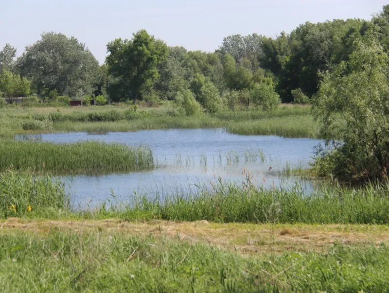 Урочище Альта