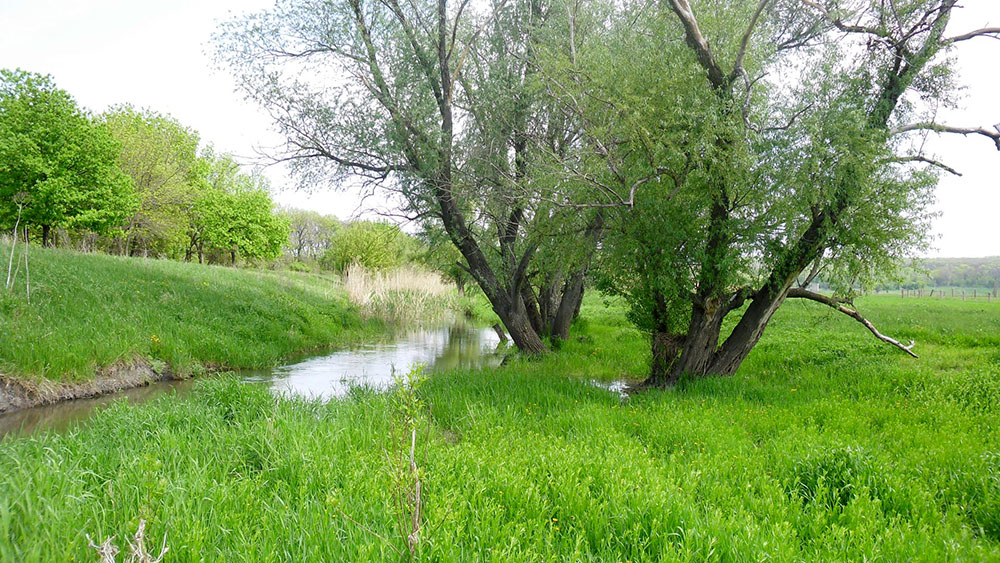 Река луганчик